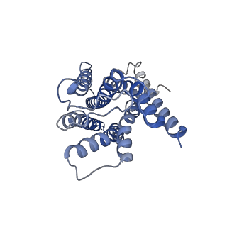 33928_7ymh_A_v1-0
Cryo-EM structure of Nb29-alpha1AAR-miniGsq complex bound to noradrenaline