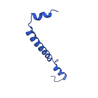 33931_7yml_D_v1-1
Structure of photosynthetic LH1-RC super-complex of Rhodobacter capsulatus