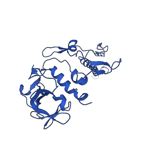 33931_7yml_H_v1-1
Structure of photosynthetic LH1-RC super-complex of Rhodobacter capsulatus