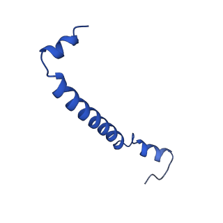 33931_7yml_I_v1-1
Structure of photosynthetic LH1-RC super-complex of Rhodobacter capsulatus