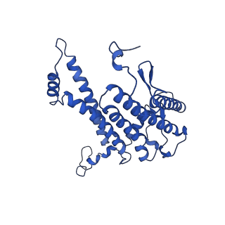 33931_7yml_L_v1-1
Structure of photosynthetic LH1-RC super-complex of Rhodobacter capsulatus