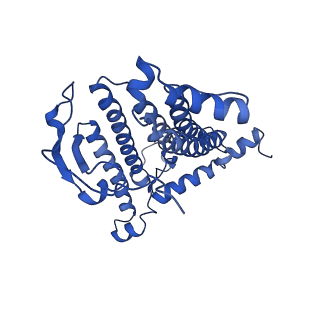 33931_7yml_M_v1-1
Structure of photosynthetic LH1-RC super-complex of Rhodobacter capsulatus