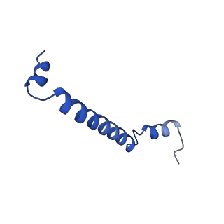33931_7yml_O_v1-1
Structure of photosynthetic LH1-RC super-complex of Rhodobacter capsulatus