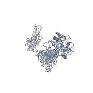 33948_7ymz_A_v1-0
Cryo-EM structure of MERS-CoV spike protein, intermediate conformation