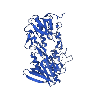 10857_6ynv_e_v1-1
Cryo-EM structure of Tetrahymena thermophila mitochondrial ATP synthase - Fo-wing region