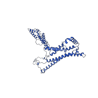 10859_6ynx_A_v1-1
Cryo-EM structure of Tetrahymena thermophila mitochondrial ATP synthase - Fo-subcomplex
