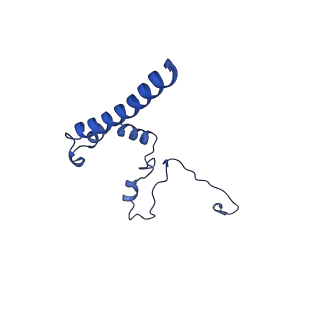 10859_6ynx_D_v1-1
Cryo-EM structure of Tetrahymena thermophila mitochondrial ATP synthase - Fo-subcomplex