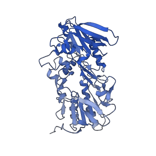 10859_6ynx_E_v1-1
Cryo-EM structure of Tetrahymena thermophila mitochondrial ATP synthase - Fo-subcomplex