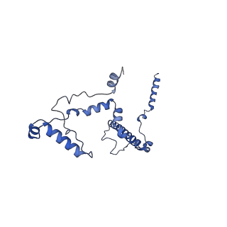 10859_6ynx_F_v1-1
Cryo-EM structure of Tetrahymena thermophila mitochondrial ATP synthase - Fo-subcomplex