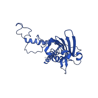 10859_6ynx_G_v1-1
Cryo-EM structure of Tetrahymena thermophila mitochondrial ATP synthase - Fo-subcomplex