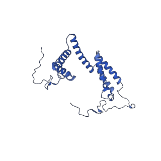 10859_6ynx_H_v1-1
Cryo-EM structure of Tetrahymena thermophila mitochondrial ATP synthase - Fo-subcomplex