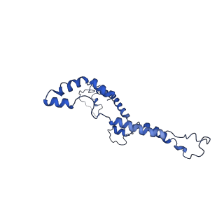 10859_6ynx_I_v1-1
Cryo-EM structure of Tetrahymena thermophila mitochondrial ATP synthase - Fo-subcomplex