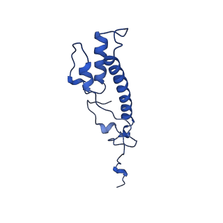 10859_6ynx_N_v1-1
Cryo-EM structure of Tetrahymena thermophila mitochondrial ATP synthase - Fo-subcomplex
