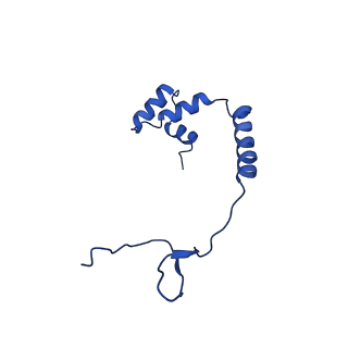 10859_6ynx_O_v1-1
Cryo-EM structure of Tetrahymena thermophila mitochondrial ATP synthase - Fo-subcomplex