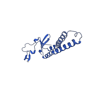 10859_6ynx_P_v1-1
Cryo-EM structure of Tetrahymena thermophila mitochondrial ATP synthase - Fo-subcomplex