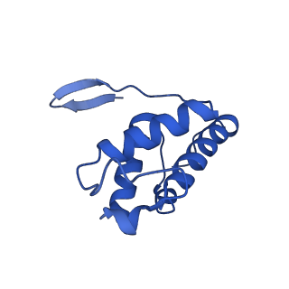 10859_6ynx_Q_v1-1
Cryo-EM structure of Tetrahymena thermophila mitochondrial ATP synthase - Fo-subcomplex