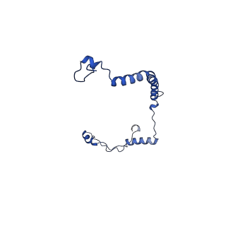 10859_6ynx_R_v1-1
Cryo-EM structure of Tetrahymena thermophila mitochondrial ATP synthase - Fo-subcomplex
