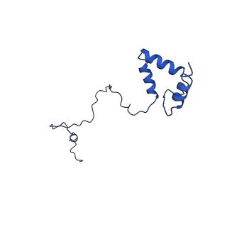 10859_6ynx_S_v1-1
Cryo-EM structure of Tetrahymena thermophila mitochondrial ATP synthase - Fo-subcomplex
