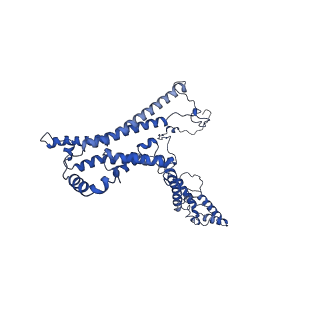 10859_6ynx_a_v1-1
Cryo-EM structure of Tetrahymena thermophila mitochondrial ATP synthase - Fo-subcomplex