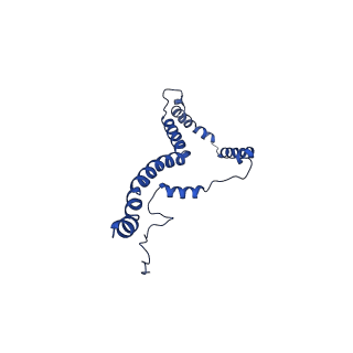 10859_6ynx_b_v1-1
Cryo-EM structure of Tetrahymena thermophila mitochondrial ATP synthase - Fo-subcomplex