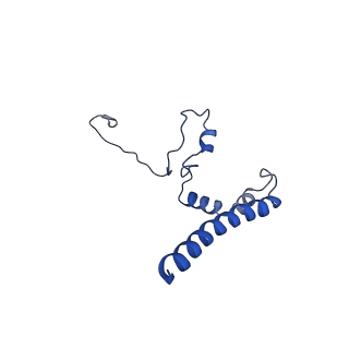 10859_6ynx_d_v1-1
Cryo-EM structure of Tetrahymena thermophila mitochondrial ATP synthase - Fo-subcomplex