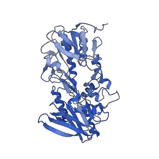 10859_6ynx_e_v1-1
Cryo-EM structure of Tetrahymena thermophila mitochondrial ATP synthase - Fo-subcomplex