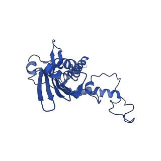 10859_6ynx_g_v1-1
Cryo-EM structure of Tetrahymena thermophila mitochondrial ATP synthase - Fo-subcomplex