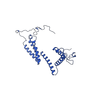 10859_6ynx_h_v1-1
Cryo-EM structure of Tetrahymena thermophila mitochondrial ATP synthase - Fo-subcomplex