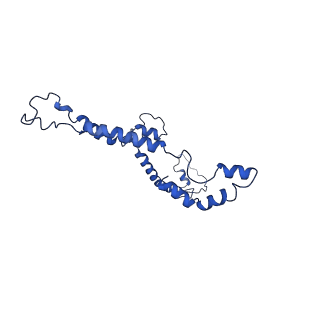 10859_6ynx_i_v1-1
Cryo-EM structure of Tetrahymena thermophila mitochondrial ATP synthase - Fo-subcomplex