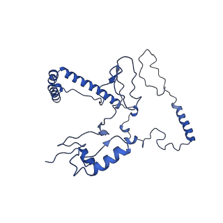 10859_6ynx_j_v1-1
Cryo-EM structure of Tetrahymena thermophila mitochondrial ATP synthase - Fo-subcomplex