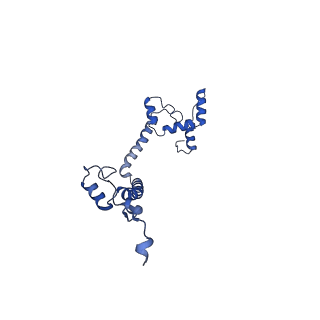 10859_6ynx_k_v1-1
Cryo-EM structure of Tetrahymena thermophila mitochondrial ATP synthase - Fo-subcomplex