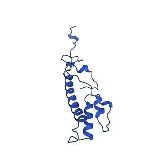 10859_6ynx_n_v1-1
Cryo-EM structure of Tetrahymena thermophila mitochondrial ATP synthase - Fo-subcomplex