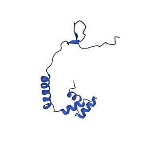 10859_6ynx_o_v1-1
Cryo-EM structure of Tetrahymena thermophila mitochondrial ATP synthase - Fo-subcomplex