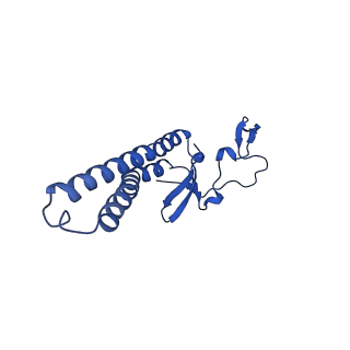 10859_6ynx_p_v1-1
Cryo-EM structure of Tetrahymena thermophila mitochondrial ATP synthase - Fo-subcomplex