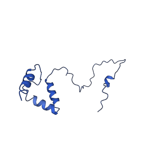 10859_6ynx_s_v1-1
Cryo-EM structure of Tetrahymena thermophila mitochondrial ATP synthase - Fo-subcomplex