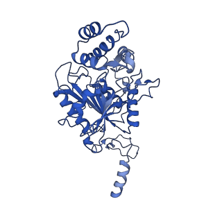 10859_6ynx_t_v1-1
Cryo-EM structure of Tetrahymena thermophila mitochondrial ATP synthase - Fo-subcomplex