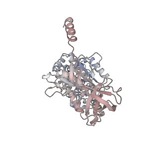 10860_6yny_A1_v1-1
Cryo-EM structure of Tetrahymena thermophila mitochondrial ATP synthase - F1Fo composite dimer model