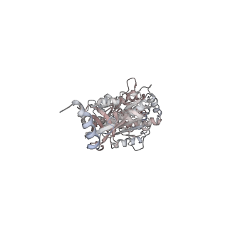 10860_6yny_B1_v1-1
Cryo-EM structure of Tetrahymena thermophila mitochondrial ATP synthase - F1Fo composite dimer model