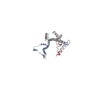 10860_6yny_B_v1-1
Cryo-EM structure of Tetrahymena thermophila mitochondrial ATP synthase - F1Fo composite dimer model