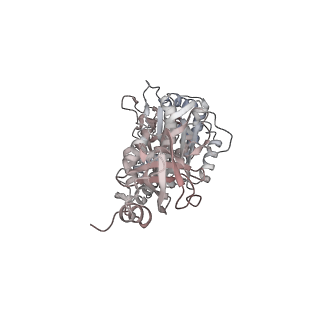 10860_6yny_C2_v1-1
Cryo-EM structure of Tetrahymena thermophila mitochondrial ATP synthase - F1Fo composite dimer model