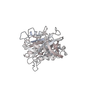 10860_6yny_D1_v1-1
Cryo-EM structure of Tetrahymena thermophila mitochondrial ATP synthase - F1Fo composite dimer model