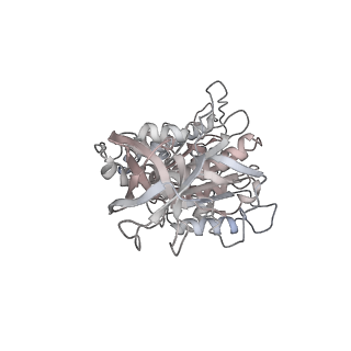 10860_6yny_D2_v1-1
Cryo-EM structure of Tetrahymena thermophila mitochondrial ATP synthase - F1Fo composite dimer model