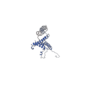 10860_6yny_D_v1-1
Cryo-EM structure of Tetrahymena thermophila mitochondrial ATP synthase - F1Fo composite dimer model