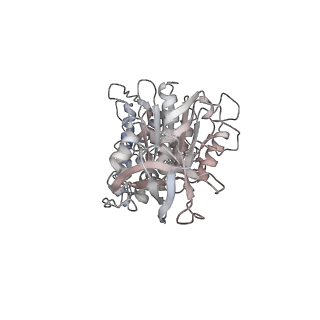10860_6yny_E1_v1-1
Cryo-EM structure of Tetrahymena thermophila mitochondrial ATP synthase - F1Fo composite dimer model