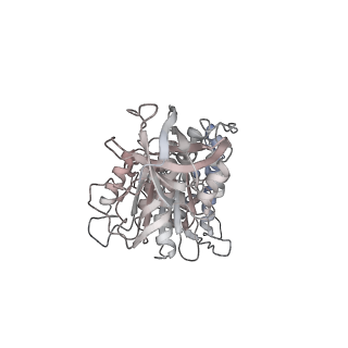 10860_6yny_E2_v1-1
Cryo-EM structure of Tetrahymena thermophila mitochondrial ATP synthase - F1Fo composite dimer model