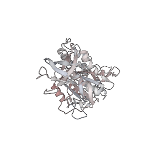 10860_6yny_F1_v1-1
Cryo-EM structure of Tetrahymena thermophila mitochondrial ATP synthase - F1Fo composite dimer model