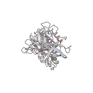 10860_6yny_F2_v1-1
Cryo-EM structure of Tetrahymena thermophila mitochondrial ATP synthase - F1Fo composite dimer model