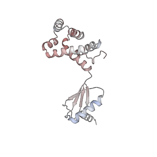 10860_6yny_G2_v1-1
Cryo-EM structure of Tetrahymena thermophila mitochondrial ATP synthase - F1Fo composite dimer model