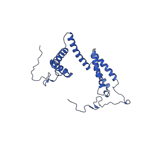 10860_6yny_H_v1-1
Cryo-EM structure of Tetrahymena thermophila mitochondrial ATP synthase - F1Fo composite dimer model