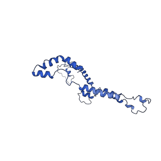 10860_6yny_I_v1-1
Cryo-EM structure of Tetrahymena thermophila mitochondrial ATP synthase - F1Fo composite dimer model